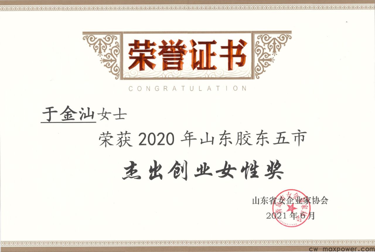 喜報！于金汕總經(jīng)理榮獲2020年山東膠東五市杰出創(chuàng)業(yè)女性獎(圖2)